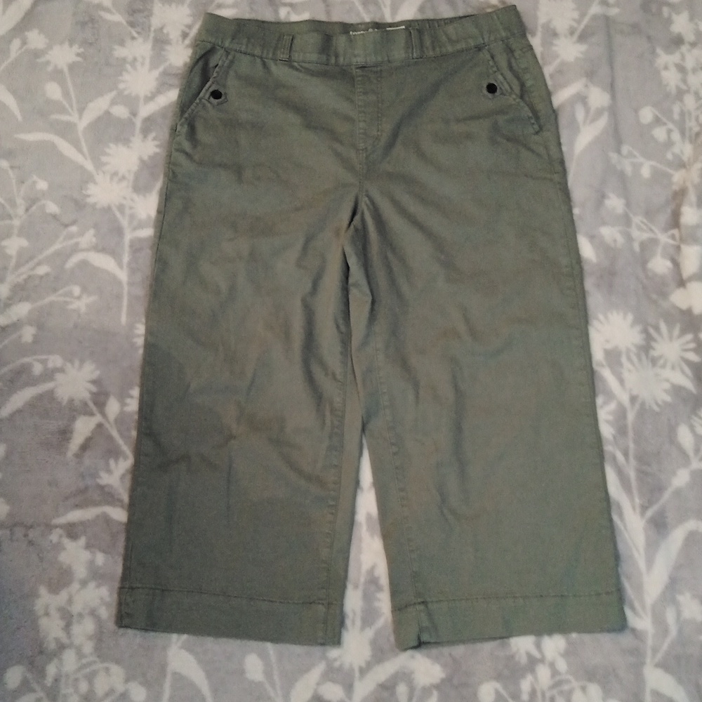 Terra & Sky Olive Pull On Cropped Pants, 1X (16W-18W)
